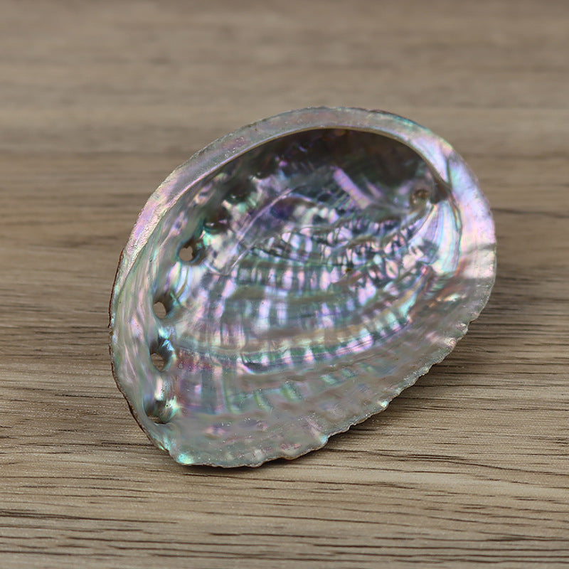 Natural Abalone Shell—Sacred Cleansing Bowl