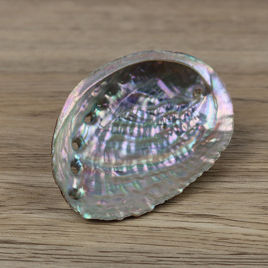 Natural Abalone Shell—Sacred Cleansing Bowl